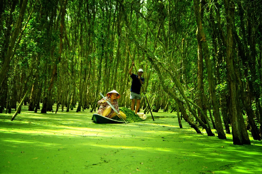 Du lịch Châu Đốc - Rừng Trà Sư - Chùa Huỳnh Đạo 2N2Đ giá tốt Hè