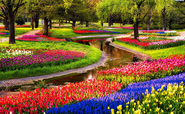 Du lịch Châu Âu - Pháp - Luxembourg - Bỉ - Hà Lan - Đức Lễ hội hoa Keukenhof từ Sài Gòn giá tốt