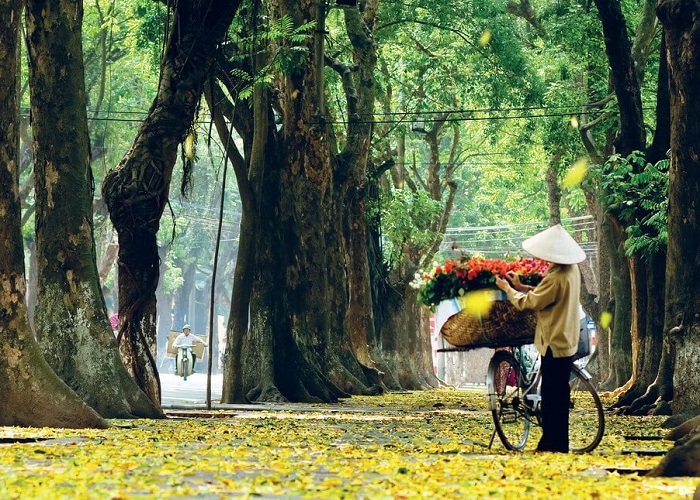 Du lịch Miền Bắc - Hà Nội - Hạ Long - Ninh Bình mùa Thu 4 ngày từ Sài Gòn