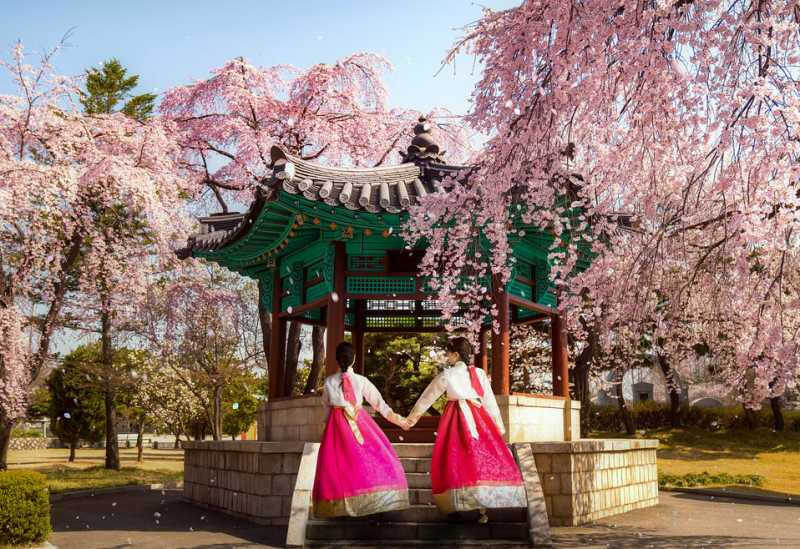 Du lịch Hàn Quốc mùa hoa Anh Đào Seoul - JeJu - Nami - Everland từ Sài Gòn