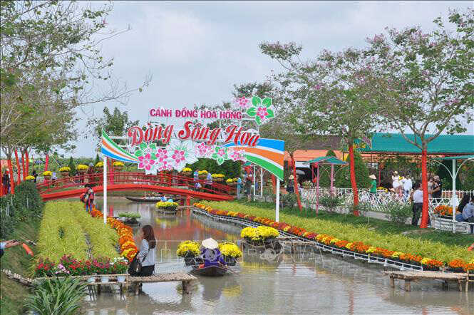 Du Lịch Đồng Tháp - Làng Hoa Sa Đéc - Vườn Quýt Hồng Lai Vung giá tốt