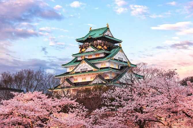 Du lịch Nhật Bản mùa hoa Anh Đào 6N5Đ khởi hành từ Hà Nội giá tốt