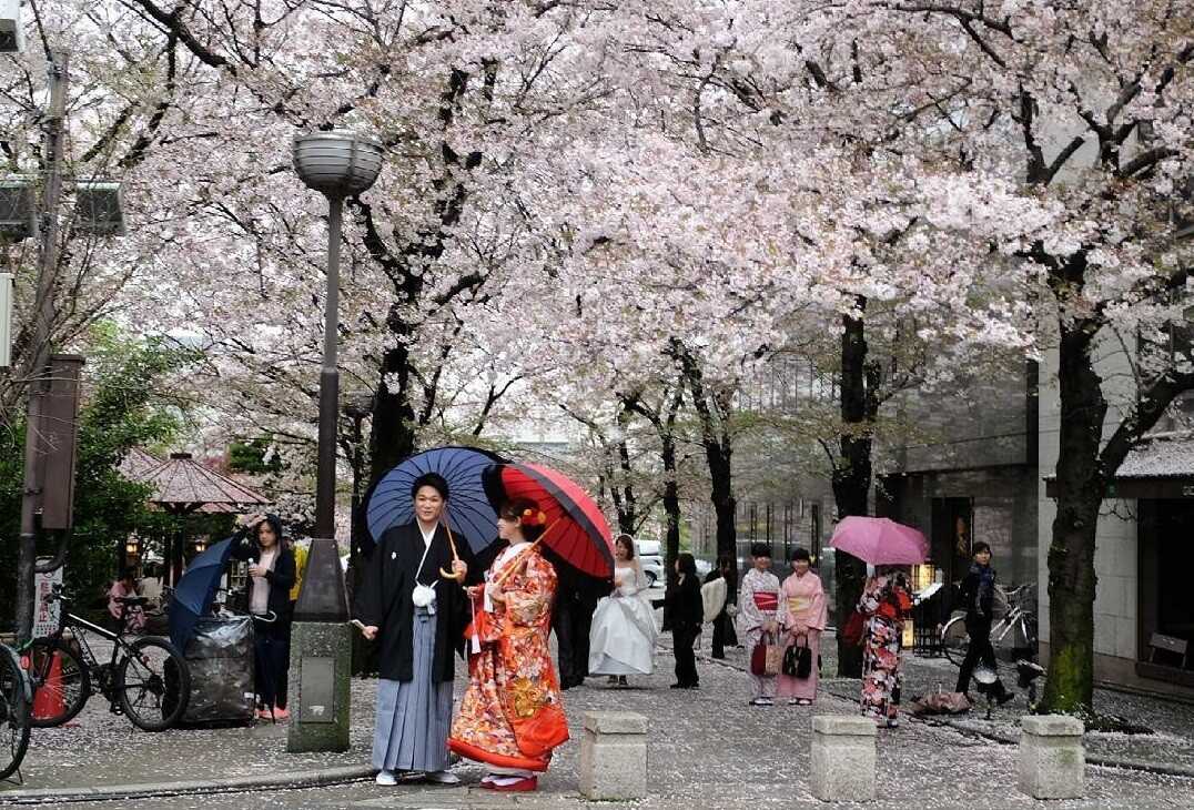 Du lịch Nhật Bản ngắm hoa Anh Đào 6N5Đ từ Sài Gòn giá tốt