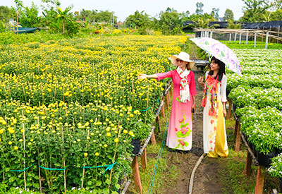 Du lịch Đồng Tháp - Làng hoa Sa Đéc - Tràm chim Tam Nông - Đồng sen tháp mười từ Sài Gòn 2020