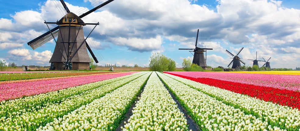 Du lịch Châu Âu - Pháp - Luxembourg - Bỉ - Hà Lan - Lễ hội hoa Keukenhof từ Sài Gòn giá tốt