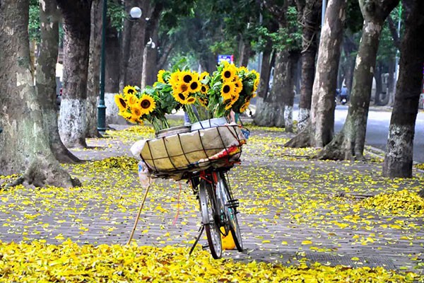 Du lịch Miền Bắc - Hà Nội - Hạ Long - Ninh Bình mùa Thu 4 ngày từ Sài Gòn